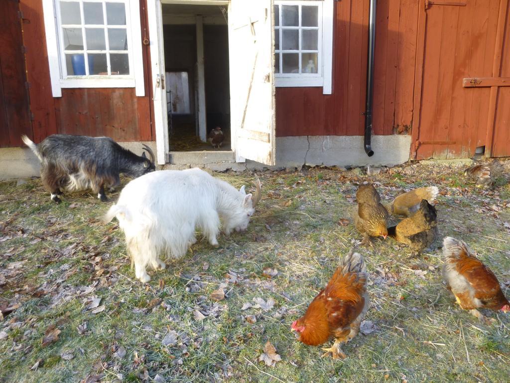 Kullagarden Villa Vreta Kloster Luaran gambar
